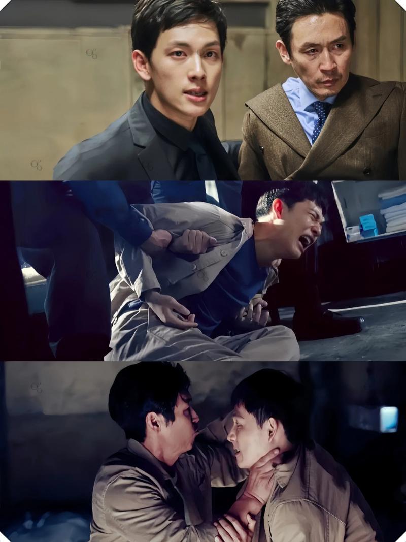 《不汗党》完整版在线观看指南