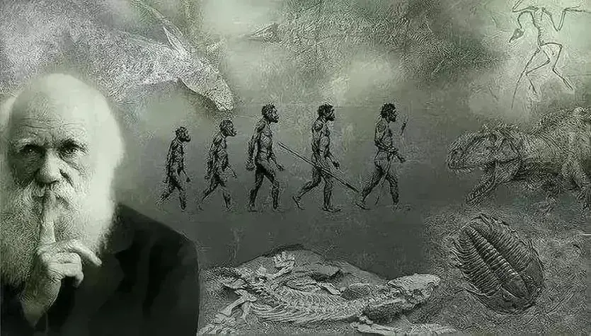 深度长文：地球上本来并没有人类，第一个人是如何诞生的？
