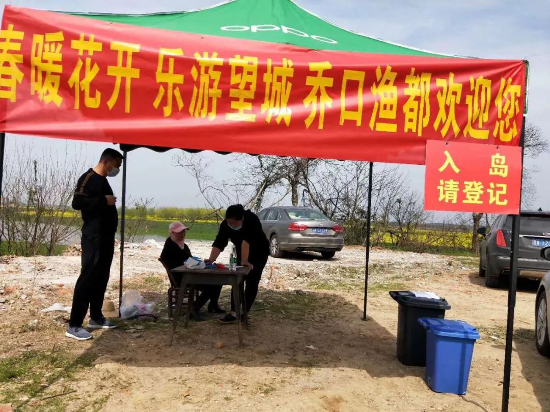 八卦洲网红打卡-_湘江江心岛旅游_甄皮洲油菜花