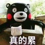 李明霖和网红撕逼3个月，想过娱乐圈会怎么看他弟弟李宏毅吗？